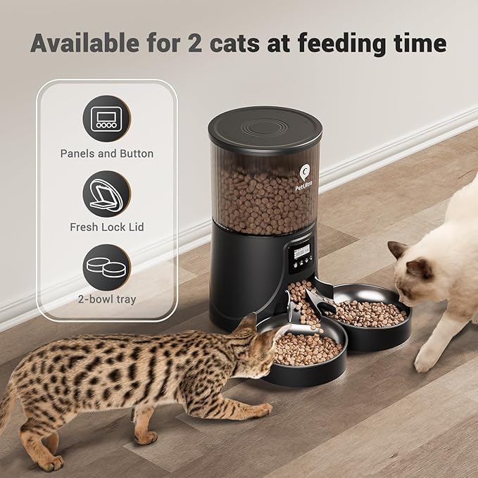 Automatic Cat Feeder 2 Cats: Dual Cat Feeder Automatic- Timed Auto Feeder 16 Cups/4L Cat Food Dispenser& Dual Power Auto Pet Feeder for Indoor Cat&Dog with Stainless Steel Bowl - PAWPICO