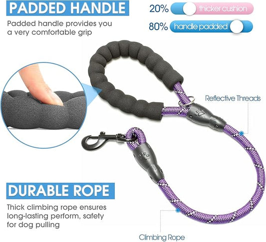 BAAPET 2/4/5/6 FT Dog Leash with Comfortable Padded Handle and Highly Reflective Threads for Small Medium and Large Dogs (2FT-1/2'', Purple) BAAPET