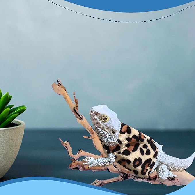 Lizard Clothes Bearded Dragon Hoodie Sweater Jacket Small Pet Costume Flannel Apparel for Reptiles Party Cosplay Props Chameleon Outfit Reptile Clothing Accessories HOKABLE