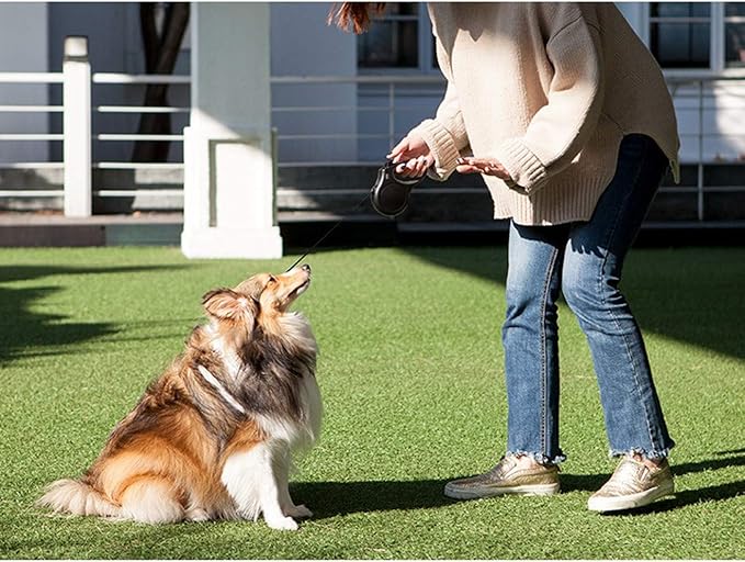 Fida Retractable Dog Leash, 16ft Heavy Duty Pet Walking Leash for X-Small/Small/Medium/Large Dog or Cat up to 110 lbs, Tangle Free. One-Hand Brake (Large, Coffee) - PAWPICO