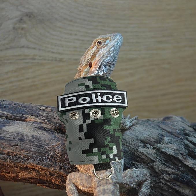 Bearded Dragon Harness and Leash Set - Adjustable Lizard Harness with Replaceable Patch Outdoor Traction Rope Walking Training Leash Reptile Halloween Costume Accessories for Small Pets (Green) SEZDEKI
