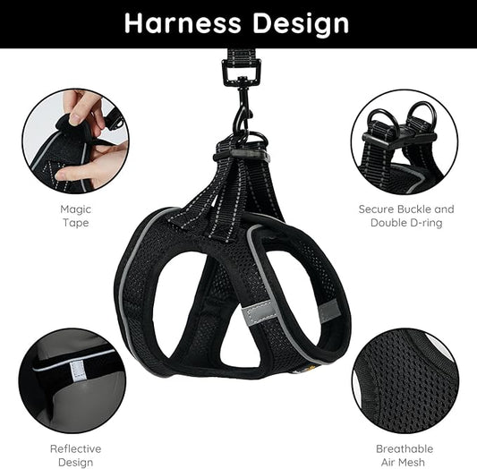 BELLA & PAL Puppy Harness with Leash Set, Dog Harness for Small Dogs No Pull, Dog Leash for Small Dogs, Step in Harness for Extra Small Dogs, Black Harness, XS BELLAPAL