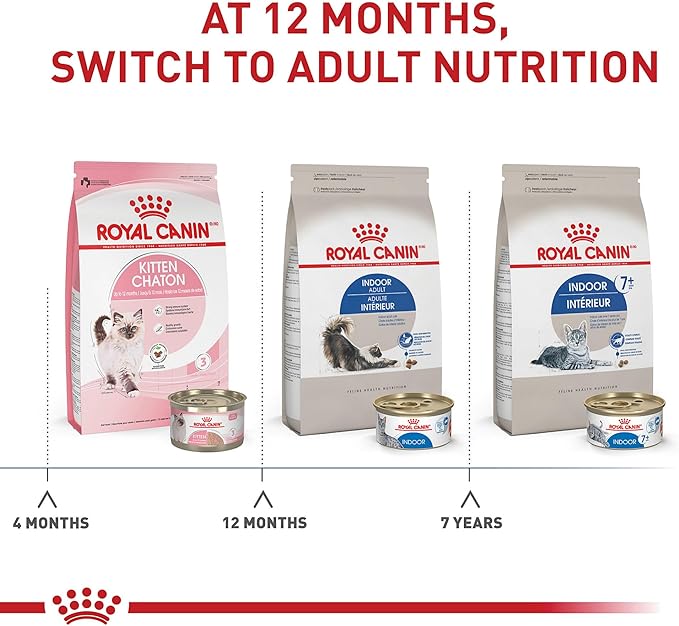 Royal Canin Indoor Adult Dry Cat Food, 15 lb bag - PAWPICO