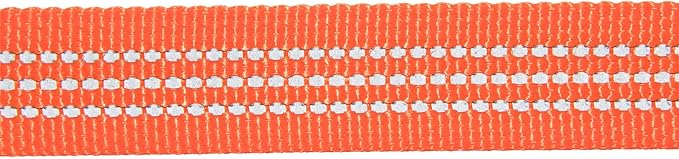 Carhartt Dog Leash, Durable Nylon Webbing Dog Leash, Hunter Orange, Large Carhartt