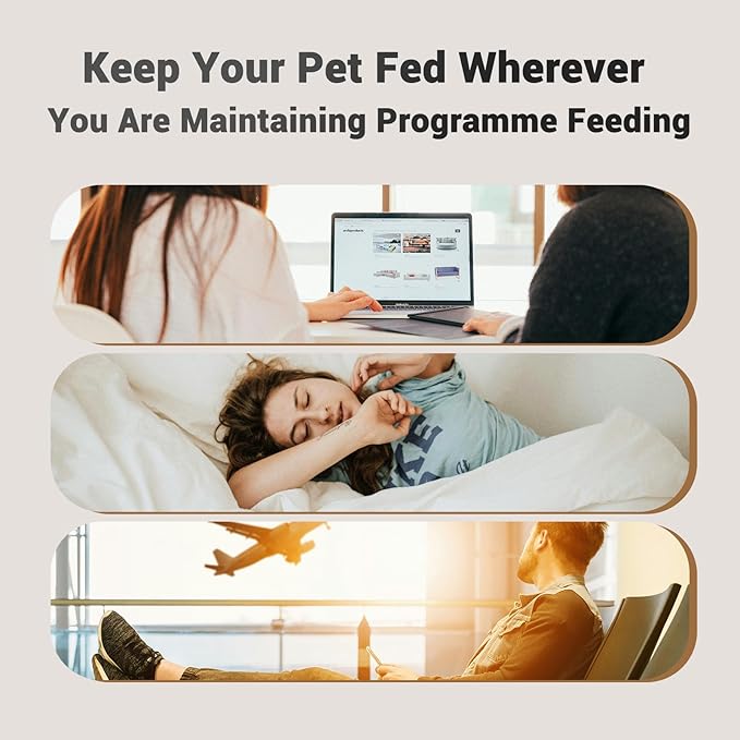 Dual Automatic Cat Feeder: Cat Feeder Automatic for 2 Cats- Timed Auto Feeder 16 Cups/4L Cat Food Dispenser& Dual Power Auto Pet Feeder for Indoor Cat&Dog| 1-6 Meals Portions Control, Black - PAWPICO