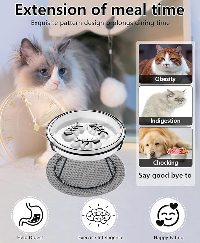 Cat Slow Feeder, Elevated Cat Food Bowl Raised Design, Dog Slow Feeder Bowl with Metal Stand, No Black Chin, Anti Vomit, Shallow Whiksker Friendly for Wet and Dry Food for Indoor Cat - PAWPICO