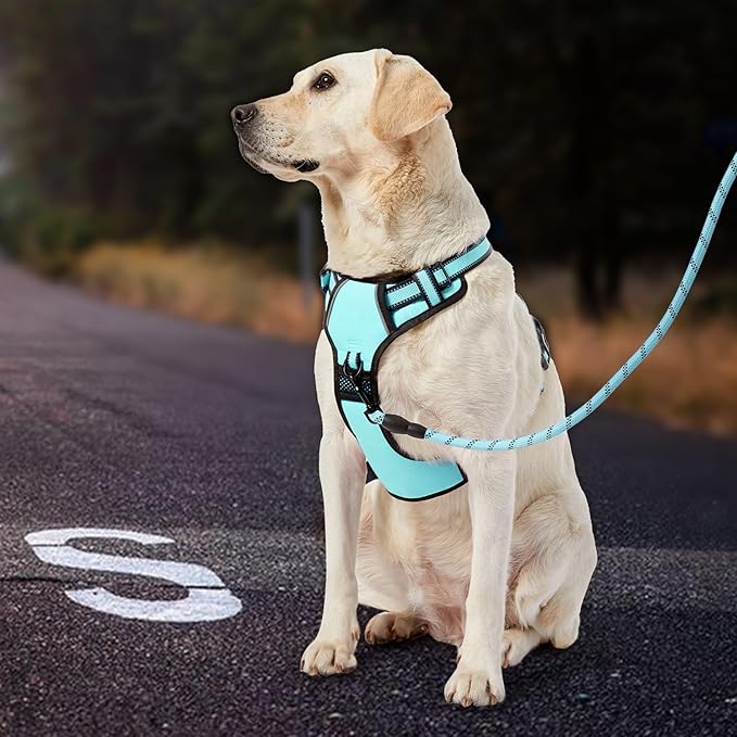 IVY&LANE No Pull Dog Harness with Leash Set, Reflective No Choke Pet Vest,Adjustable Oxford Dog Vest Harness with Easy Control Handle for Large Dogs (Turquoise,XL) IVYLANE
