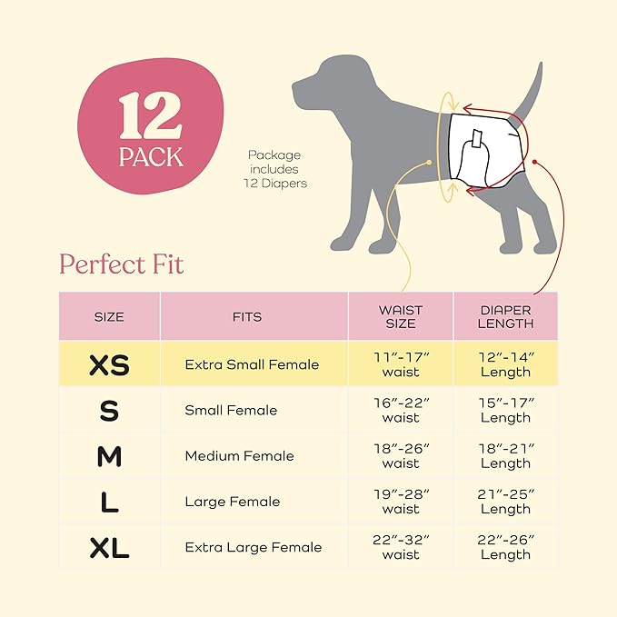 Comfortable Female Dog Diapers - 12-Pack Super Absorbent Disposable Doggie Diapers - FlashDry Gel Technology & Wetness Indicator - Leakproof Diapers for Dogs in Heat, Excitable Urination, Incontinence - PAWPICO