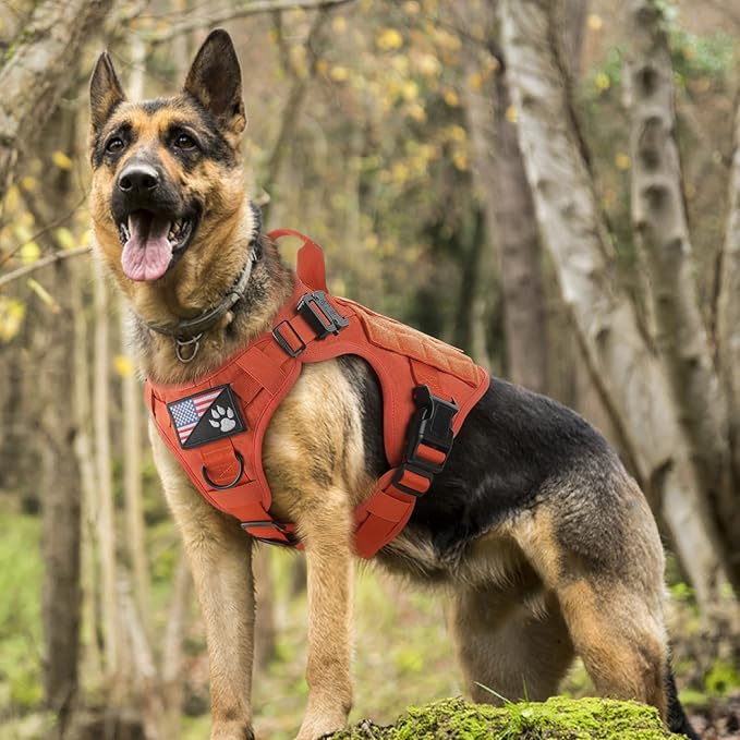 rabbitgoo Tactical Dog Harness for Large, Heavy Duty Pet Harness with Handle, No-Pull Service Vest Large Breed, Adjustable Military Dog Vest for Training Hunting Walking, Orange, XL rabbitgoo