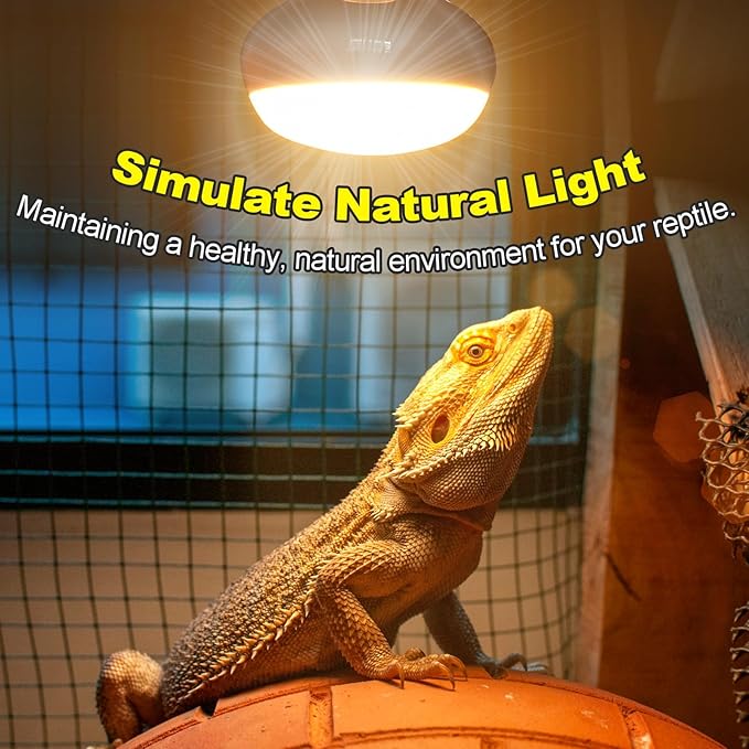 MIXJOY 100W Reptile Heat Lamp Bulb, 2Pack Reptile Basking Spot Light, Upgraded Intense Heat Basking Bulb, UVA Daylight Heat Lamp Bulbs for Reptiles, Bearded Dragon, Lizard, Tortoise, Chicken MIXJOY