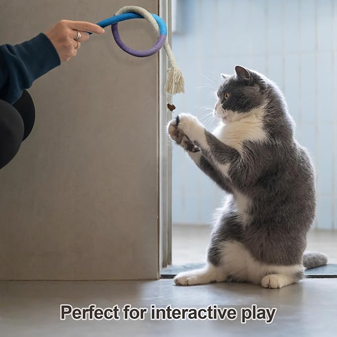 Quacc 4 PCS Cat Chew Toy Bite Ropes with Natural Gall Fruit, Colorful Kitten Chew Rope Interactive Cat Toy Sturdy Chewing Ropes for Cat Teeth Cleaning Stress Release - 27.6" - PAWPICO