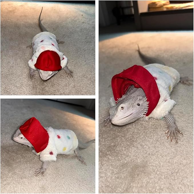 Lizards Clothes for Bearded Dragon - Handmade Cotton Hoodies Warm Sweater Coat Reptiles Apparel Costume Skin Protection Photo for Lizard Bearded Dragon Crested Gecko Chameleon (White,Large) SEZDEKI