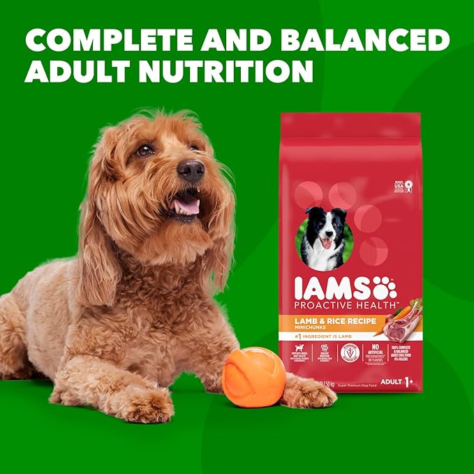 IAMS Minichunks Adult Dry Dog Food Lamb & Rice Recipe Dog Kibble, 30 lb. Bag - PAWPICO