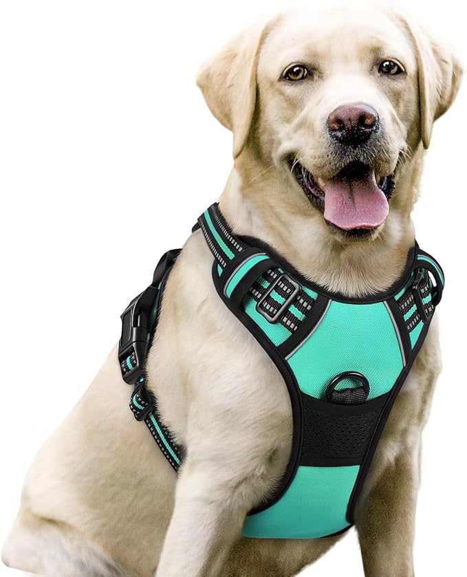 rabbitgoo Dog Harness No Pull with 2 Leash Clips, Adjustable Soft Padded, Reflective Oxford No Choke Pet Vest with Easy Control Handle for Large Dogs, Turquoise, L rabbitgoo