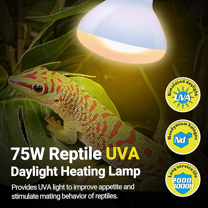 REPTIZOO 75W Reptile Heat Lamp Combo Pack, 2PCS Day & Night Basking Spot Light, UVA Daylight Heating Lamp Basking Bulb and Infrared Heat Emitter Red Heat Lamp REPTIZOO