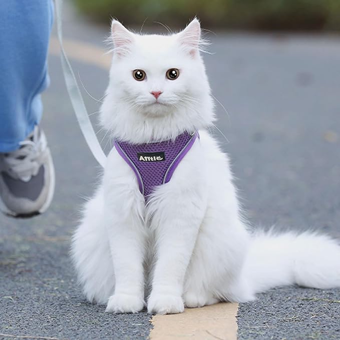 AIITLE Dog Harness, Spring No-Pull Cat Harness with a Leash, Adjustable Reflective Dog Vest, Cat Harness Escape Proof, Outdoor Walking, Camping for Extra Small Dogs and House Cats Pure Purple XXXS AIITLE-FORPETSBETTERLIFE