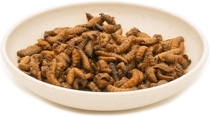 6 Pack Canned Black Soldier Fly Larvae for Reptiles, Fish, Birds and Small Animals, BSF, Healthy High Protein Treat, Reptile Bird Fish Food 1.2 Ounces Each Jadingfarm
