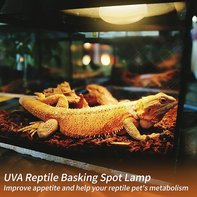 New Upgrade Reptile Heat Lamp Bulb (3rd Gen No Broken), 50W 2 Pack Basking Spot Light for Reptiles & Amphibians,UVA Daylight Heat Bulb for Bearded Dragon, Turtle REPTIHOME