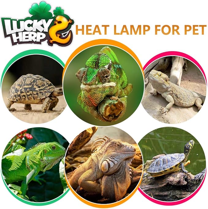 LUCKY HERP 100 Watt UVA+UVB Full Spectrum Vapor Heat Lamp Bulb, High Intensity Self-Ballasted Heat Basking Lamp/Bulb/Light for Reptile and Amphibian, Sun Lamp for Bearded Dragon Lizard Turtle(Clear) LUCKYHERP