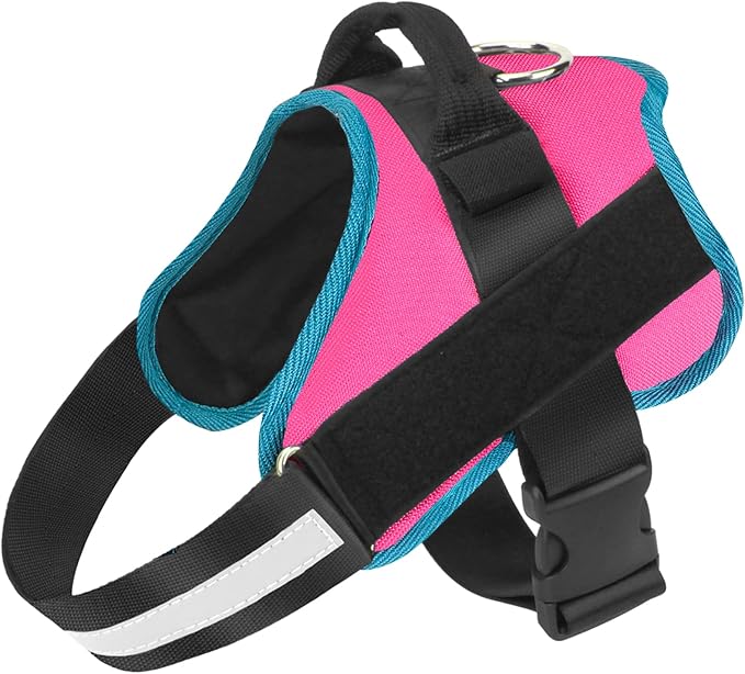 Bolux Dog Harness, No-Pull Reflective Dog Vest, Breathable Adjustable Pet Harness with Handle for Outdoor Walking - No More Pulling, Tugging or Choking Small (Pack of 1) RoseTurquoise Bolux