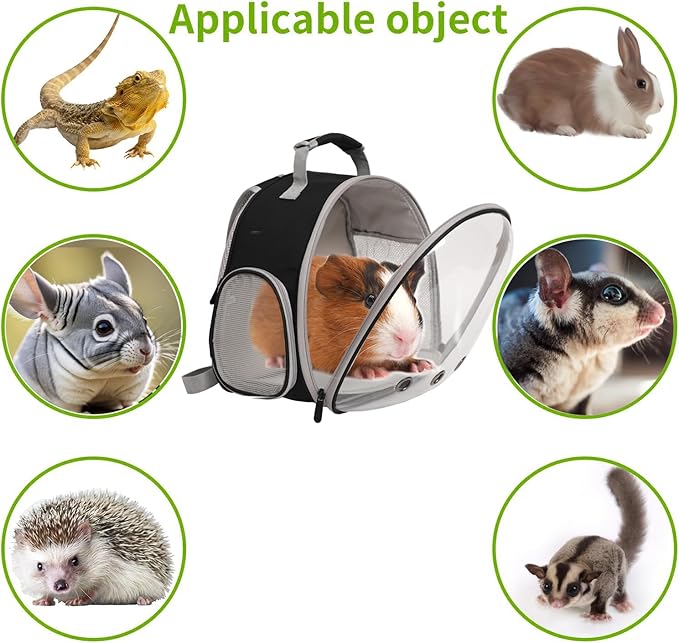 Guinea Pig Carrier,Guinea Pig Carrier for 2,Reptile Travel Carrier for Lizards Sugar Glider Hedgehog Rat Parrot Birds (Blue, Backpack+Harness Leash) WEVONIGU