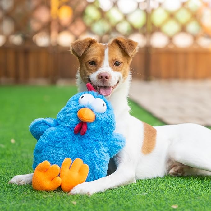 Best Pet Supplies Mrs. Cluck Interactive Squeaky Plush Toy for Small and Medium Breed Puppies or Dogs – Mrs. Cluck (Blue) - PAWPICO