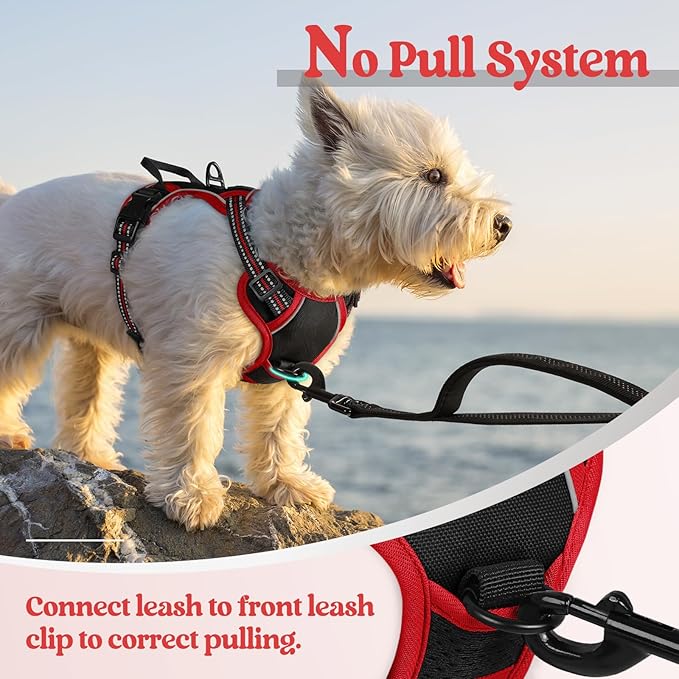 rabbitgoo Dog Harness No Pull with 2 Leash Clips, Adjustable Soft Padded, Reflective Oxford No Choke Pet Vest with Easy Control Handle for Puppy, Black & Red, XS rabbitgoo