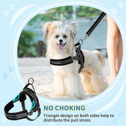 SlowTon No Pull Small Dog Harness and Leash Set, Puppy Soft Vest Harness Neck & Chest Adjustable, Reflective Lightweight Harness & Anti-Twist Pet Lead Combo for Small Medium Dogs (Black, M) SlowTon