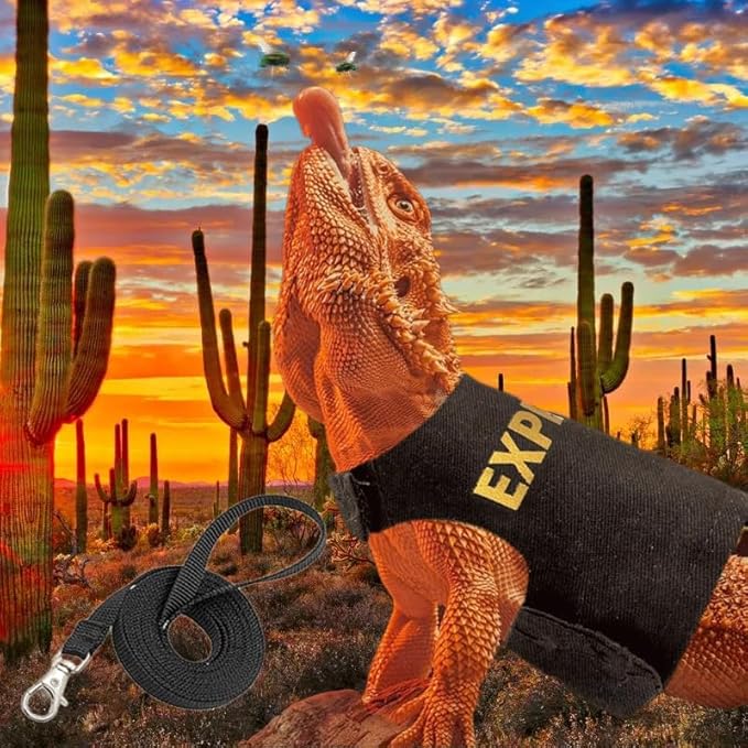 Bearded Dragon Leash and Harness Set, Adjustable Lizard Reptile Leashes Bearded Dragon Rope Accessories for Bearded Dragon Lizard Small Pets Outdoor Safety Walking(Explorer Character) HOKABLE