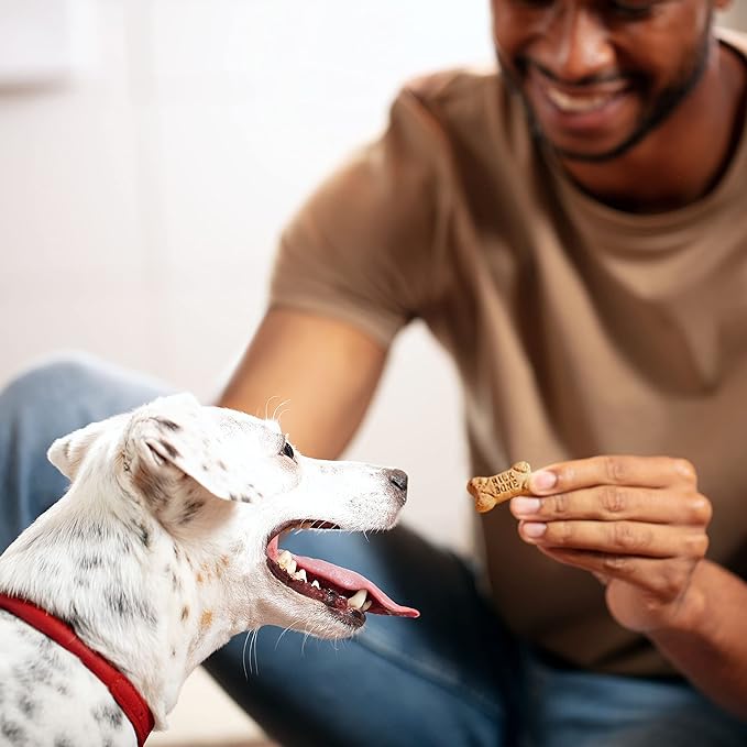 Milk-Bone Mini's Flavor Snacks Dog Treats Bundle: 36 Ounce Canister + 2 Refill Packs - PAWPICO