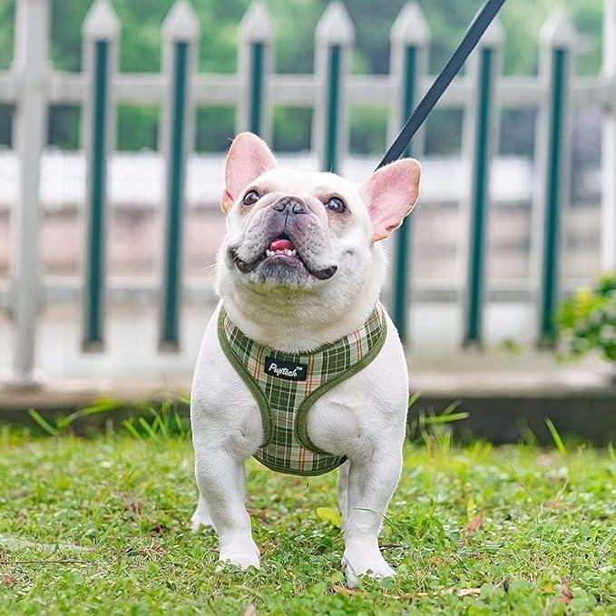 PUPTECK Soft Mesh Dog Harness and Leash Set Pet Puppy Cat Comfort Padded Vest No Pull Harnesses, Olive Green, XS PUPTECK
