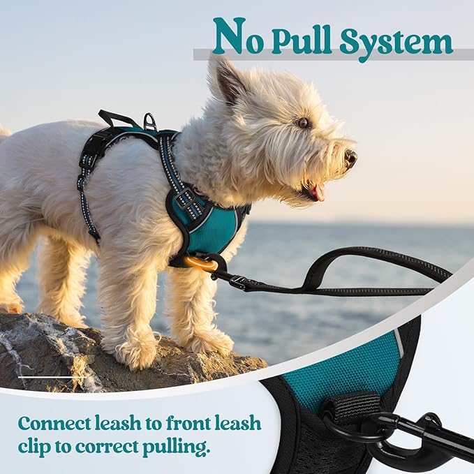 rabbitgoo Dog Harness No Pull with 2 Leash Clips, Adjustable Soft Padded, Reflective Oxford No Choke Pet Vest with Easy Control Handle for Puppy, Blue Coral, XS rabbitgoo