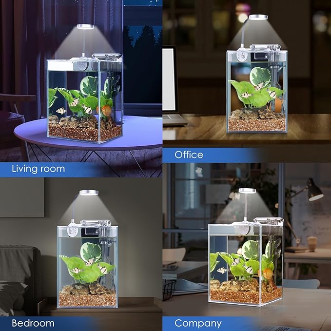 1.5 Gallon Aquarium Fish Tank with HOB Filter and Light, All in one Small Fish Tank kit, Complete Desktop Small Aquarium WONDERFACTORY