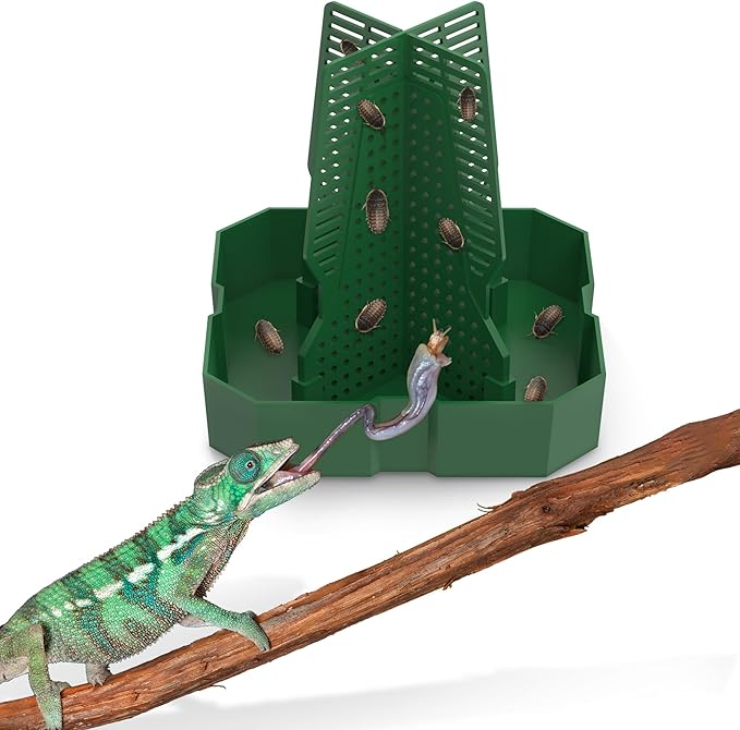 Chameleon Feeding Bowl for Reptile Terrarium, Climbable Design for Reptile to Hunt, Suitable for Feeding Lizards, Bearded Dragons, Geckos, Guardians, Frogs, Green, Small Fischuel