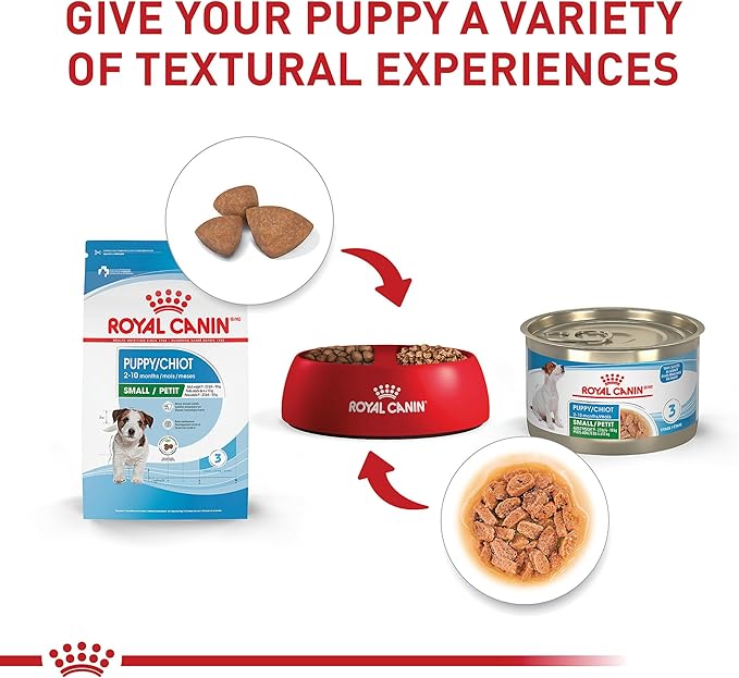 Royal Canin Size Health Nutrition Small Puppy Dry Dog Food, 2.5 lb bag - PAWPICO