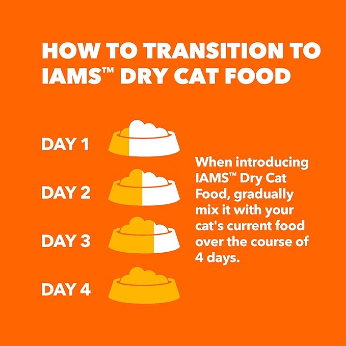 IAMS Proactive Health Adult Healthy Dry Cat Food with Salmon, 7 lb. Bag - PAWPICO