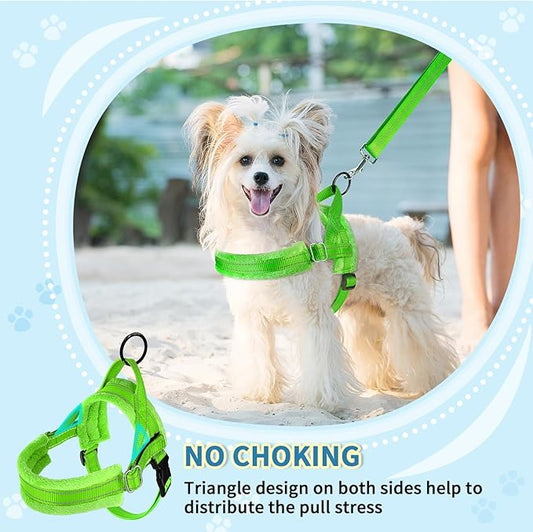 SlowTon No Pull Small Dog Harness and Leash Set, Puppy Soft Vest Harness Neck & Chest Adjustable, Reflective Lightweight Harness & Anti-Twist Pet Lead Combo for Small Medium Dogs(G,XXS) SlowTon