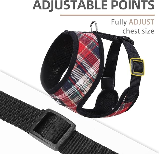PUPTECK Soft Mesh Dog Harness and Leash Set Pet Puppy Cat Comfort Padded Vest No Pull Harnesses, Red Mixed, XS PUPTECK