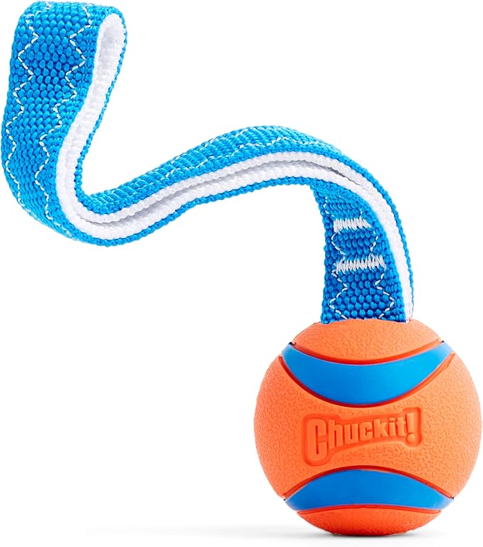 Chuckit! Ultra Tug Dog Toy, Medium Fetch and Dog Ball Tug Toy for Dogs 20-60 Pounds - PAWPICO