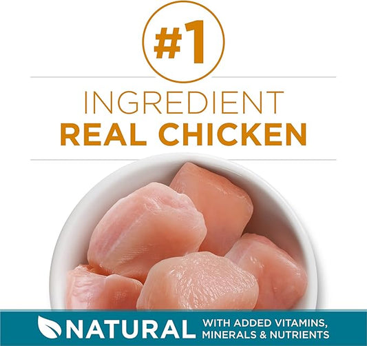 Purina ONE Natural Dry Cat Food, Tender Selects Blend With Real Chicken - 22 lb. Bag - PAWPICO