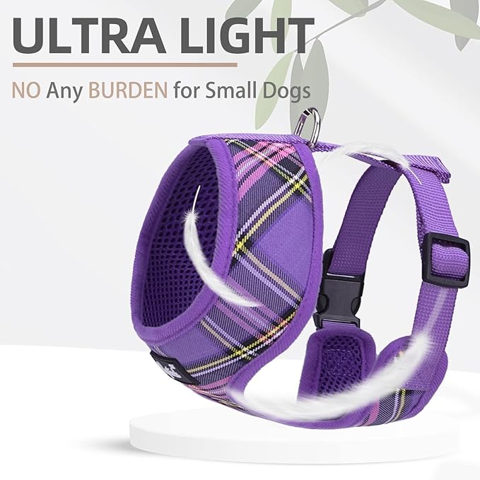 PUPTECK Soft Mesh Dog Harness and Leash Set Pet Puppy Cat Comfort Padded Vest No Pull Harnesses, Purple, S PUPTECK