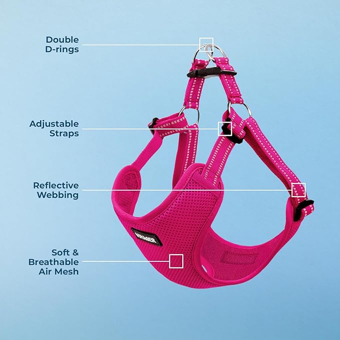 Best Pet Supplies Voyager Adjustable Dog Harness with Reflective Stripes for Walking, Jogging, Heavy-Duty Full Body No Pull Vest with Leash D-Ring, Breathable All-Weather - Harness (Fuchsia), XS BestPetSuppliesLLC