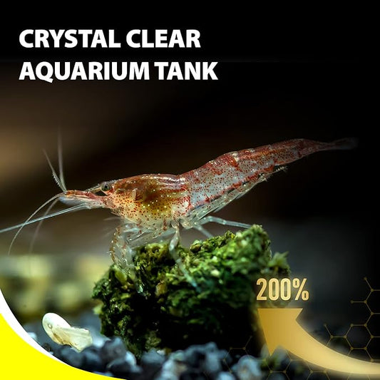 Purify Series for Algae Wafers Pleco Food, Spirulina Fish Food for Snails, Plecos, Algae Eaters and Bottom Feeders, Color Enhancing, All Natural Ingredients, 2.82oz (Pack of 2) GOODPARTNERFishFoodPurifySeries