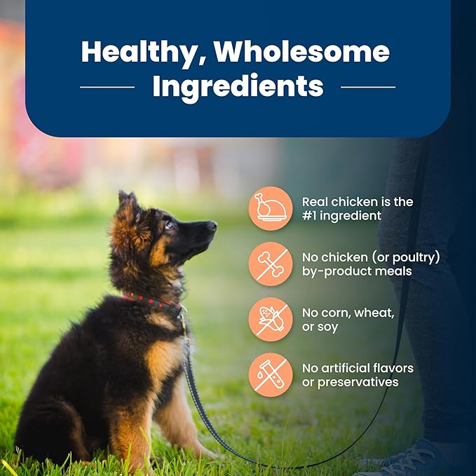 Blue Buffalo Life Protection Formula Large Breed Puppy Dry Dog Food with DHA, Vital Nutrients & Antioxidants, Made with Natural Ingredients, Chicken & Brown Rice Recipe, 30-lb. Bag - PAWPICO