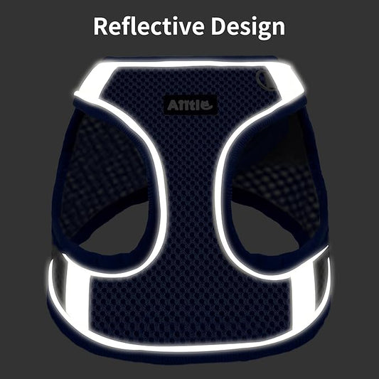 AIITLE Escape Proof Dog Harness - Step in Adjustable Dog Harness No Choke Over with Breathable Mesh and Quick-Release Buckle for Spring- Outdoor Walking, Camping for Medium Dogs Royal Blue XL AIITLE-FORPETSBETTERLIFE