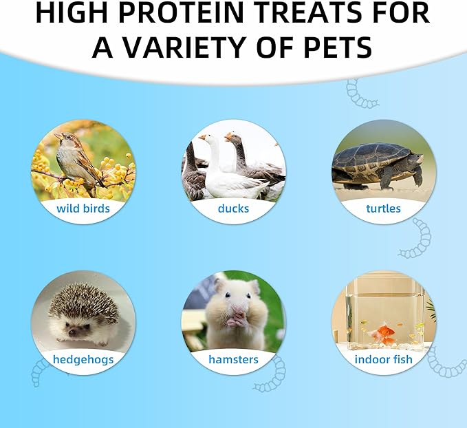 I LOVE WORMS Dried Black Soldier Fly Larvae (5lb), 100% Natural Non-GMO, Treat for Chickens, More Calcium Chicken Feed Than Mealworms ILOVEWORMS