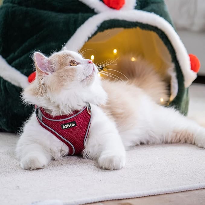 AIITLE Dog Harness, Spring No-Pull Cat Harness with a Leash, Adjustable Reflective Dog Vest, Cat Harness Escape Proof, Outdoor Walking, Camping for Extra Small Dogs and House Cats Burgundy XXXS AIITLE-FORPETSBETTERLIFE