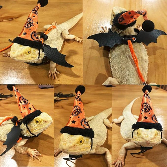ADOGGYGO Halloween Bearded Dragon Lizard Leash Harness Hat Set - Bearded Dragon Clothe Halloween Pumpkin Hat + 3 Pack Reptile Harness Leash for Bearded Dragon Lizard Reptile (Halloween) ADOGGYGO