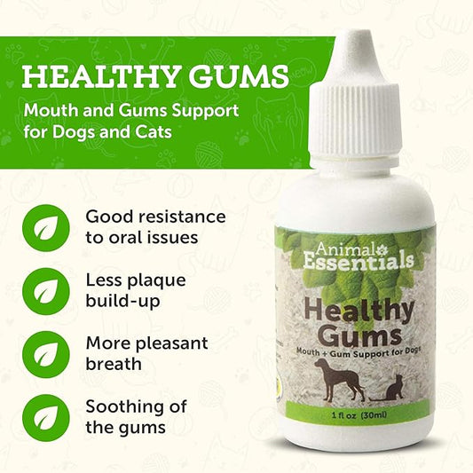 Animal Essentials Healthy Gums for Dogs & Cats - Dental Care, Mouth & Gum Support, Dental Drops, All Natural Pet Supplement, Oral Care - 1 Fl Oz AnimalEssentials