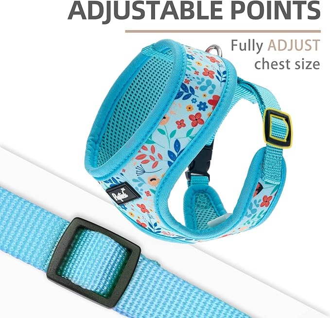 PUPTECK Soft Mesh Dog Harness and Leash Set Pet Puppy Cat Comfort Padded Vest No Pull Harnesses, Blue Floral, S PUPTECK
